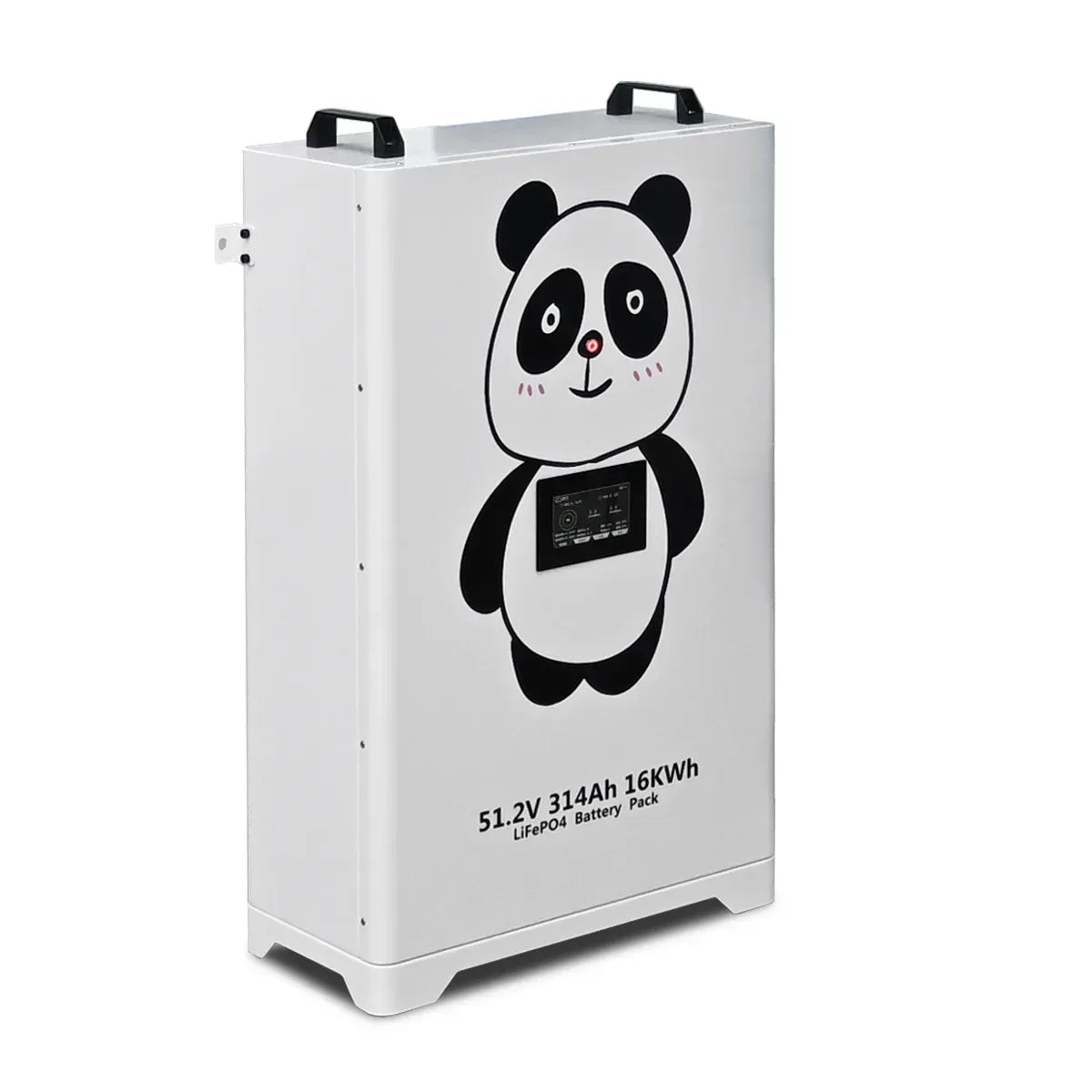 АКБ Braun Power LiFePO4 16 кВт⋅год 51.2v 314Ah